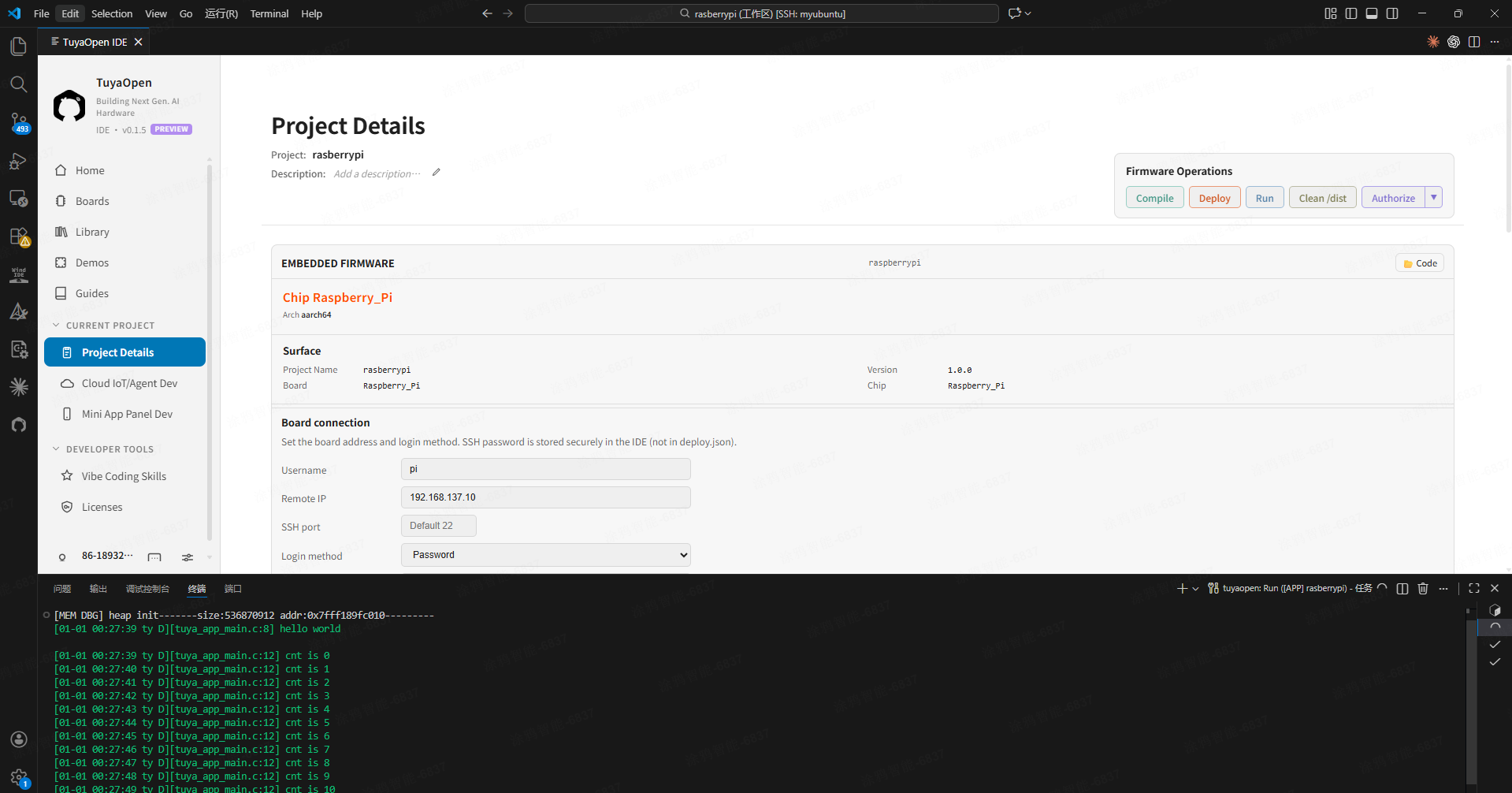 Run โ dedicated SSH terminal runs in the foreground and prints hello world at the end