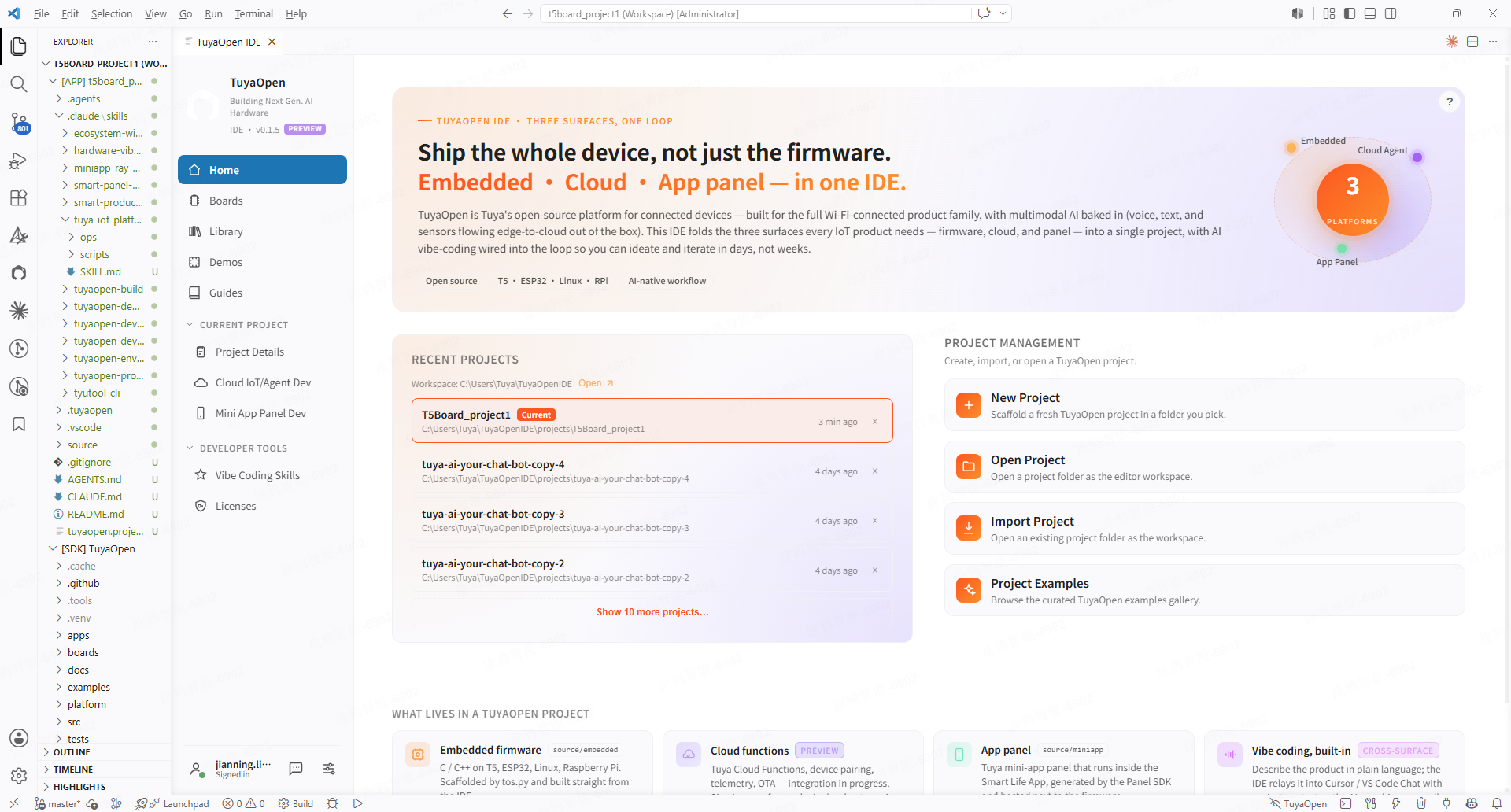 Scaffolded project workspace