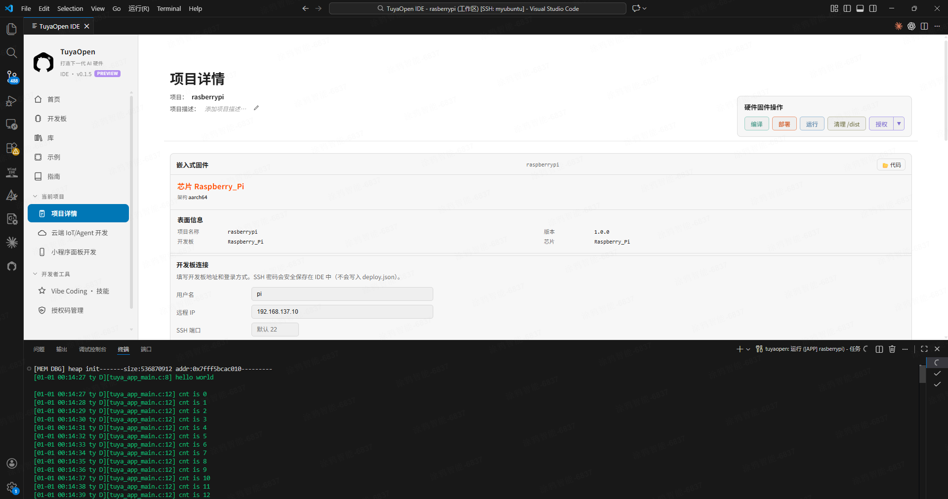 运行——专用 SSH 终端前台执行，末尾打印 hello world